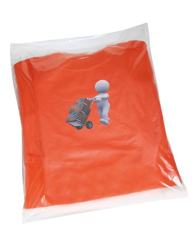 E-ZA068-Sacs transparents en polythene - fermeture non collante
